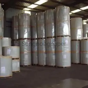 C1S SBS Cardboard Roll